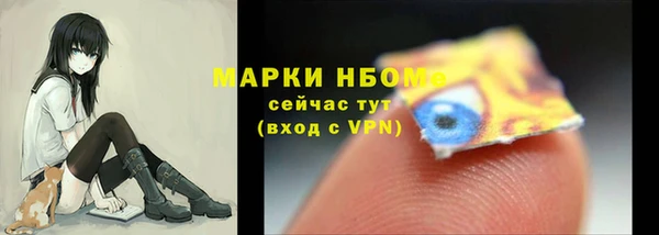 первитин Гусев