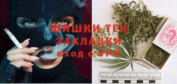 spice Гусиноозёрск