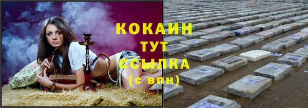 spice Гусиноозёрск