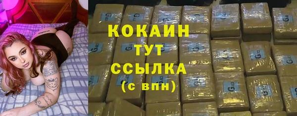 мяу мяу мука Гусь-Хрустальный