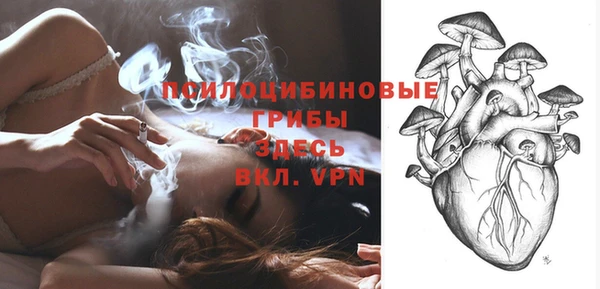 первитин Гусев