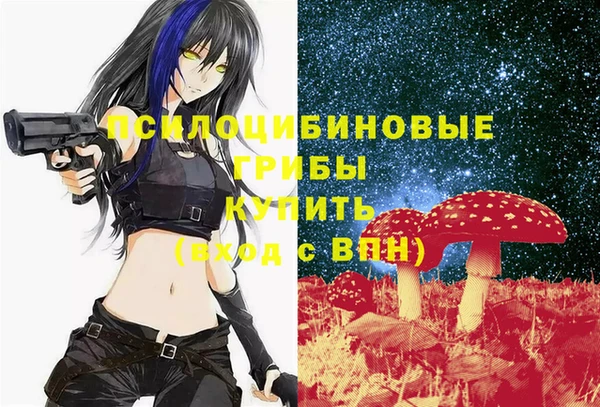 первитин Гусев